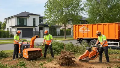 Professional shrub removal service clearing overgrown bushes in Tampa, FL yard