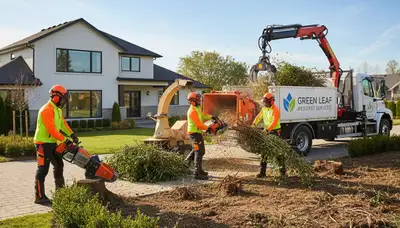 Professional shrub removal service clearing overgrown bushes in Tampa, FL yard